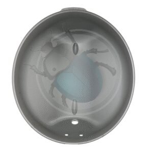 ALOJAMIENTO DE FARO 59-67