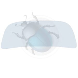 PARABRISAS 12/1300 08/64->14-140