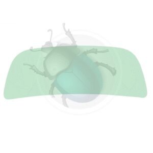 PARABRISAS 12/1300 08/64-> VERDE14-141