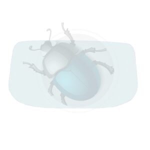 PARABRISAS 130314-144