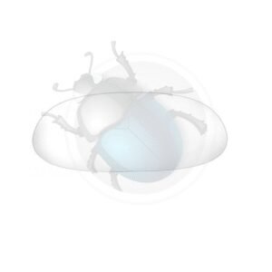 CRISTAL TRASERO 1200 53-5714-146