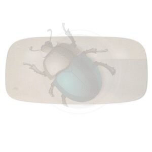 CRISTAL TRASERO 08/57-07/6414-147-WH