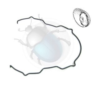 CLIP PILOTO TRASERO 55-61 unidad16-086