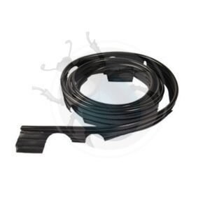 JUNQUILLO ALETA CAL. Germany17-018