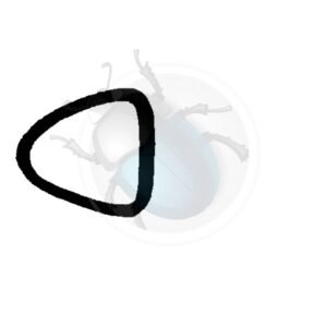 GOMA CRIST. TRAS. 46-52 perfil estrecho Germany17-120-O