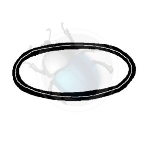 GOMA CRISTAL TRAS. ORIGEN LUXE 54-57 Germany17-122-O