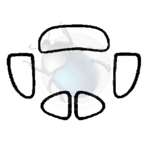 KIT GOMA VENTANAS STD. ->53 Germany17-200-STD