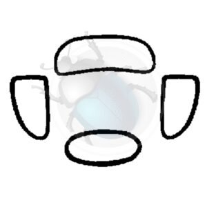 KIT GOMA VENTANAS STD. 54-57 Germany17-202-STD