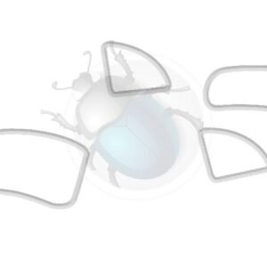 KIT GOMAS CRISTAL BLANCO 53-5717-398