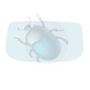 PARABRISAS CABRIO 130318-501