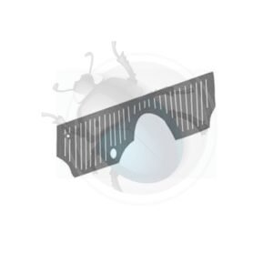 GOMA DELANTERA CARROCERÍA gris 58-59 WW20-019-GY