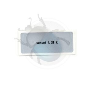 PEGATINAS COLOR I COD.31 K  'sunset red'22-432