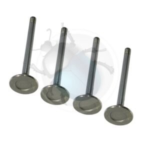 SET 4 VALVULAS ESCAPE 1