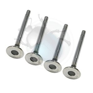 SET 4 VALVULAS ESCAPE 1600 AS DOBLE ADMISION 30x926-367