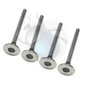 SET 4 VALVULAS ESCAPE 1600 AS DOBLE ADMISION 32x926-368