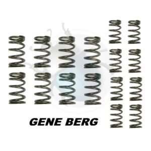 MUELLES DOBLE VALVULA (8) GENE BERG29-732-GB