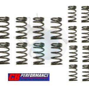 MUELLES DOBLE VALVULA (8) EXTRA RIGIDO29-733