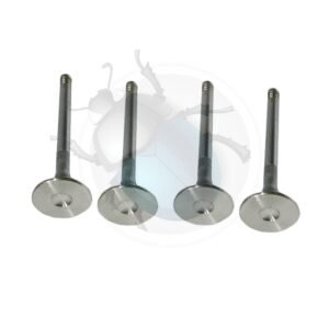 VALVULAS INOXIDABLES 35