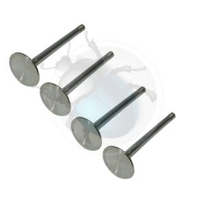 VALVULAS INOXIDABLES 37mm (4)29-742-37