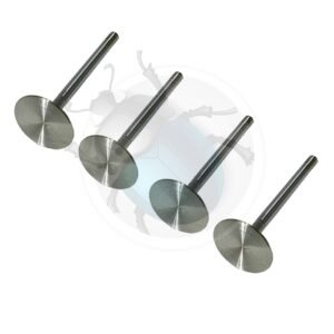 VALVULAS INOXIDABLES 42mm (4)29-744