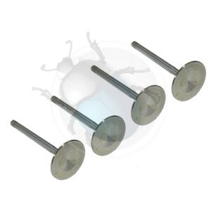 VALVULAS INOXIDABLES 44mm (4)29-745