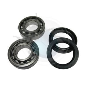 RODAMIENTOS TRASEROS RUEDA CON PALIER41-003