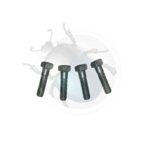 PERNOS PARA TAPA DE BARRA DE TORSIÓN (4pc).41-186