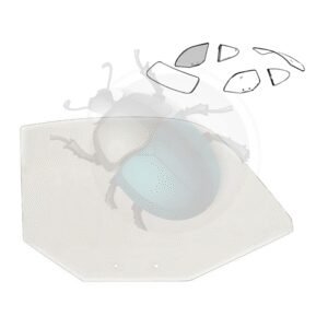 CRISTAL DE PUERTA DER. BERLINE 8/59-7/7450-104-R