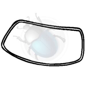 GOMAS PARABRISAS KG LUJO 56-6650-204