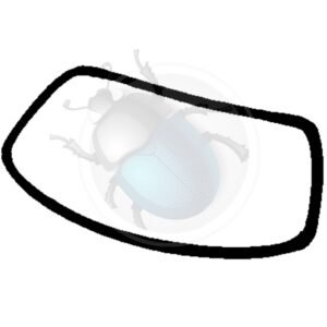 GOMAS PARABRISAS CAL LOOK KG 56-7450-207