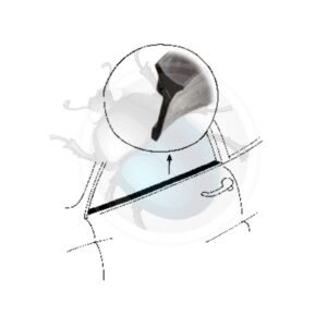 CEJILLA EXTERIOR IZQ o DER KG 72-7450-307