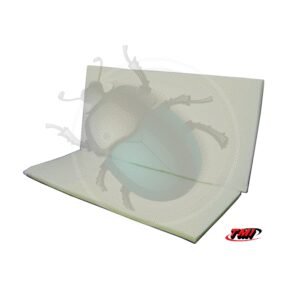 RELLENO ASIENTO TRASERO CABRIO 56-7450-398