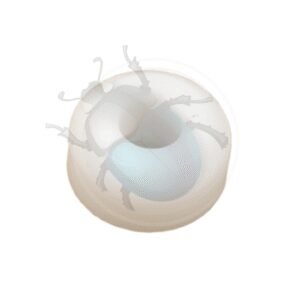 RULETA GUIA SOPORTE INF PUERTA CORRED T253-019-105