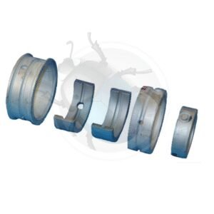 TYPE 4 CASQUILLOS BANCADA 0.25/STD CARTER55-301