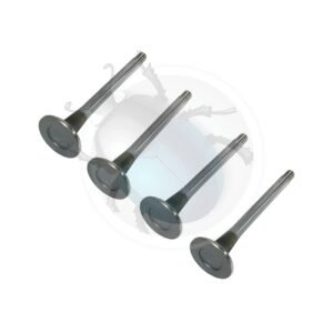 VALVULAS ESCAPE 34.0  (4)55-507