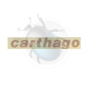 PEGATINA 'CARTHAGO'57-070751