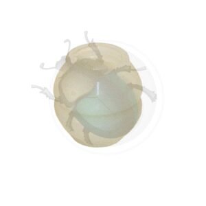 CASQUILLO BARRA CAMBIO57-711207D