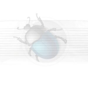 CRISTAL TRASERO57-845501A