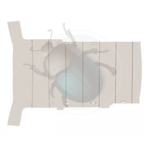 TECHO INTERIOR BUS T2557-867501